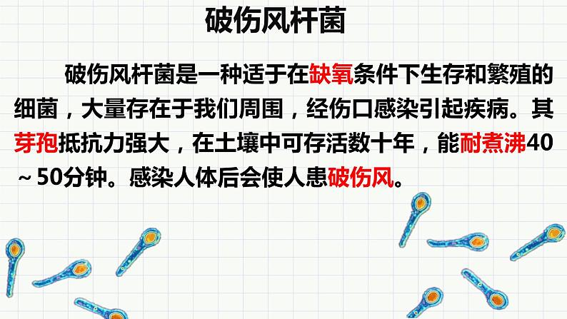 人教版八年级生物上册  5.4.2 细菌(29张PPT)01