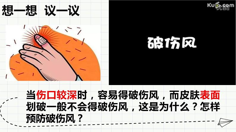 人教版八年级生物上册  5.4.2 细菌(29张PPT)02