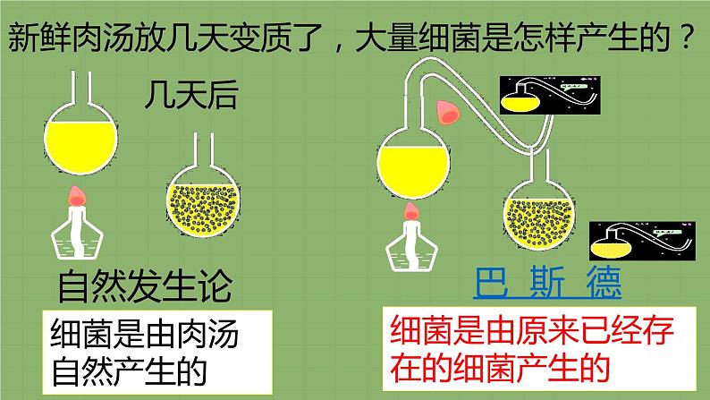 人教版八年级生物上册  5.4.2 细菌(29张PPT)07