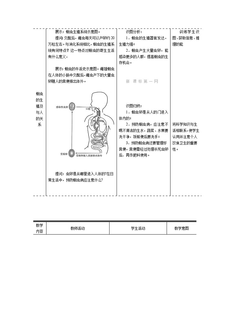 .第五單元 生物圈中的其他生物第二節(jié) 線形動物和環(huán)節(jié)動物精品教案第3頁
