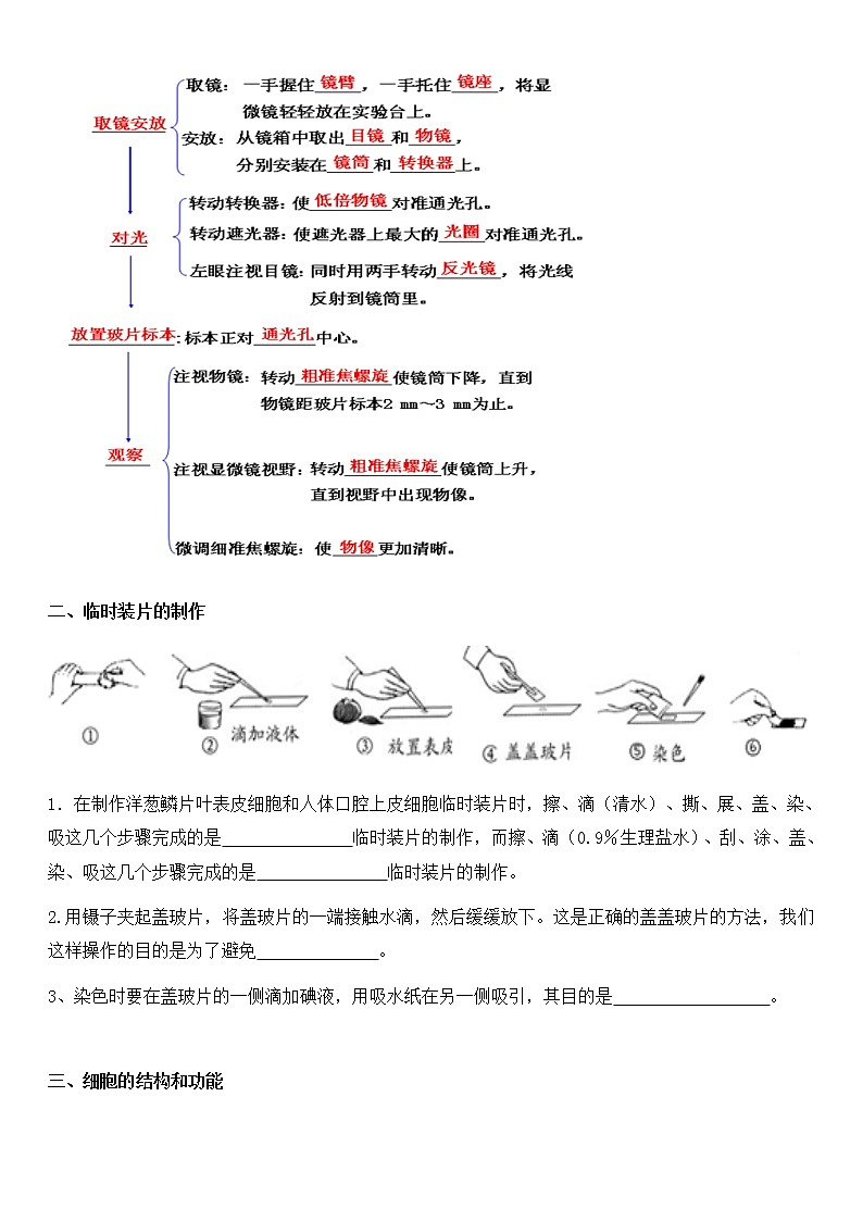 北师大版生物中考一轮复习学案:第二单元 生物体的结构02
