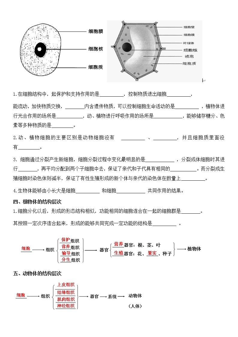 北师大版生物中考一轮复习学案:第二单元 生物体的结构03