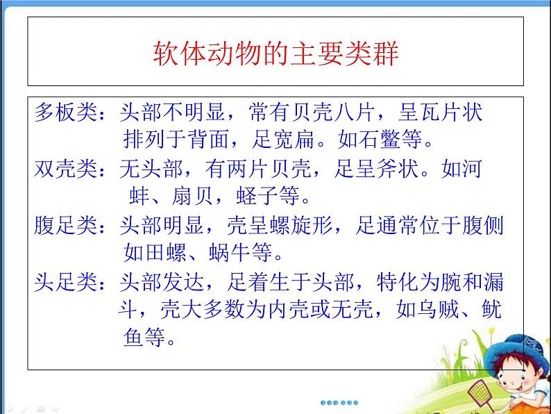 人教版 八年级上册 生物 第五单元 第一章 第三节 《软体动物和节肢动物》第7页