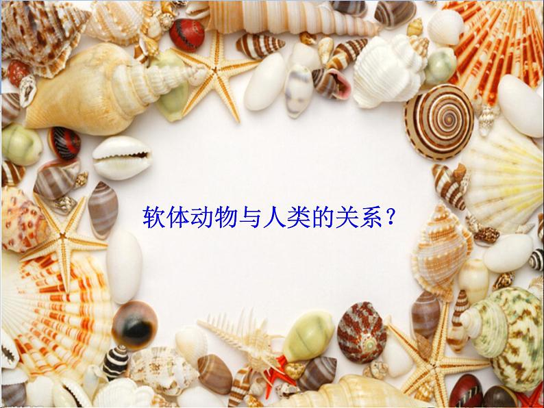 人教版 八年级上册 生物 第五单元 第一章 第三节 《软体动物和节肢动物》第8页