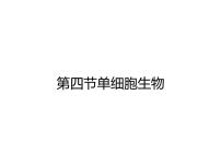 生物七年级上册第二单元 生物体的结构层次第二章 细胞怎样构成生物体第四节 单细胞生物课堂教学ppt课件