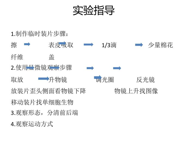 人教版生物七年级上册2.2.4《单细胞生物》课件04