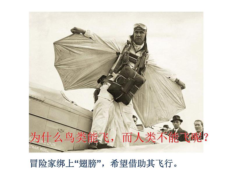 人教版八年级上册生物 第五单元 第六节 鸟 课件05