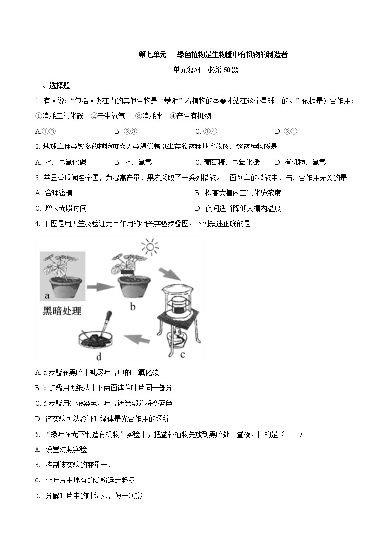 第三单元 绿色植物是生物圈中有机物的制造者-2020-2021学年七年级生物上学期单元复习（人教版） 试卷01