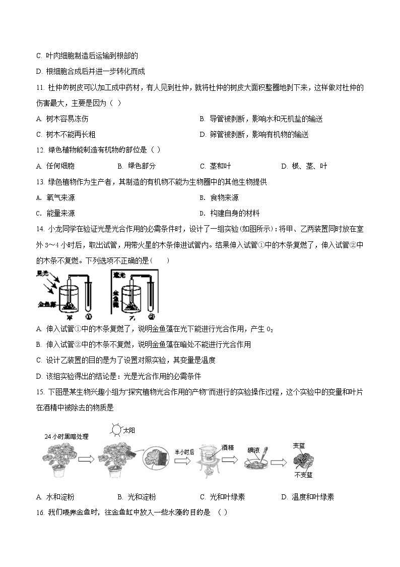 第三单元 绿色植物是生物圈中有机物的制造者-2020-2021学年七年级生物上学期单元复习（人教版） 试卷03