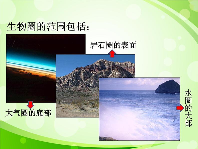 人教版生物七年级上册1.2.3生物圈是最大的生态系统 课件03