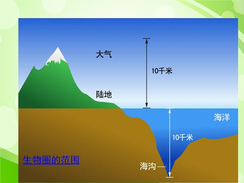 人教版生物七年级上册1.2.3生物圈是最大的生态系统 课件04