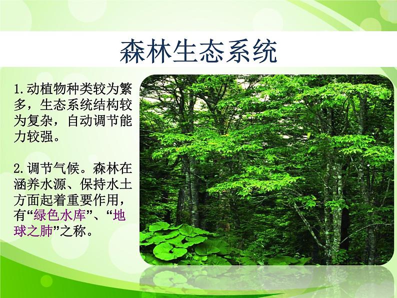 人教版生物七年级上册1.2.3生物圈是最大的生态系统 课件07