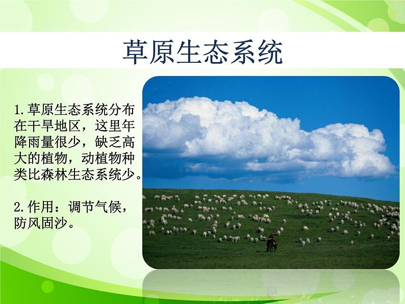 人教版生物七年级上册1.2.3生物圈是最大的生态系统 课件08
