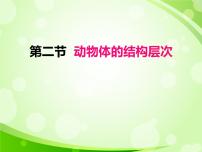 初中生物人教版 (新课标)七年级上册第二节 动物体的结构层次教课课件ppt