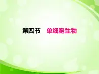 人教版生物七年级上册2.2.4单细胞生物  课件