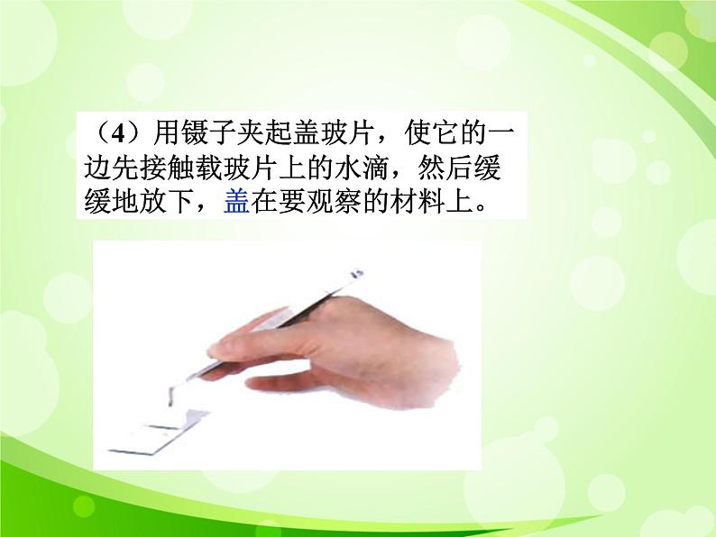 人教版生物七年级上册2.1.2植物细胞 课件06