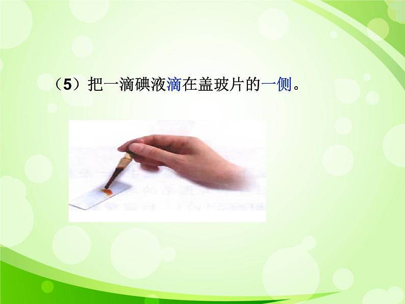 人教版生物七年级上册2.1.2植物细胞 课件07