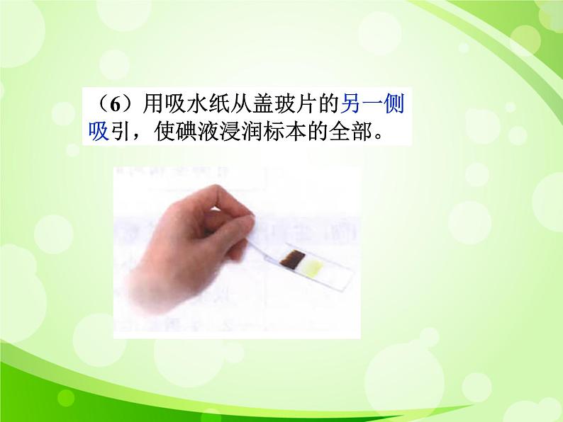 人教版生物七年级上册2.1.2植物细胞 课件08