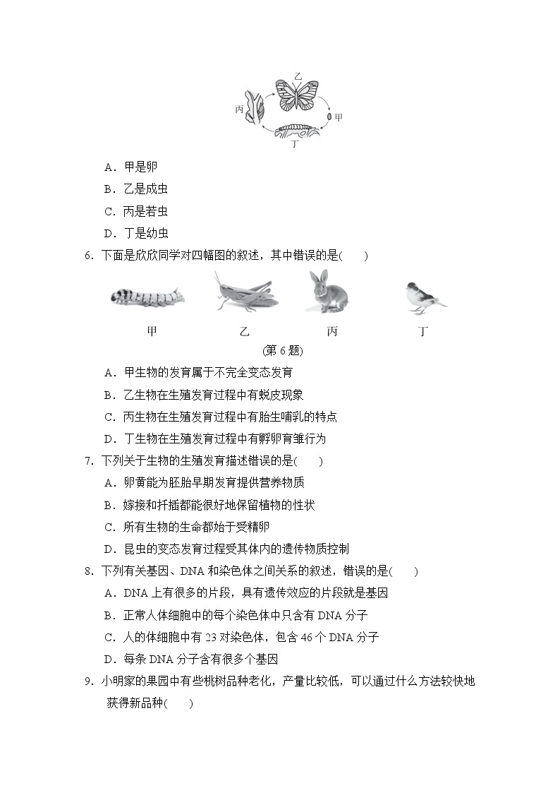 人教版八年级下册生物期中达标测试卷02