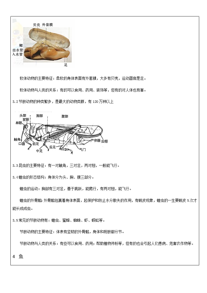 2020人教版初中生物八年级上册知识点汇总 学案第3页