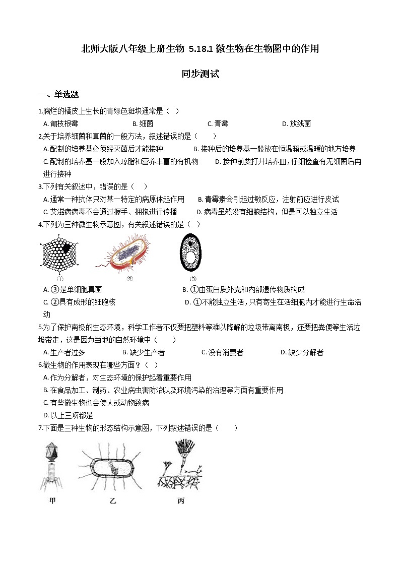 北师大版生物八年级上册5.18.1微在圈中的作用 同步测试与解析精品试题01
