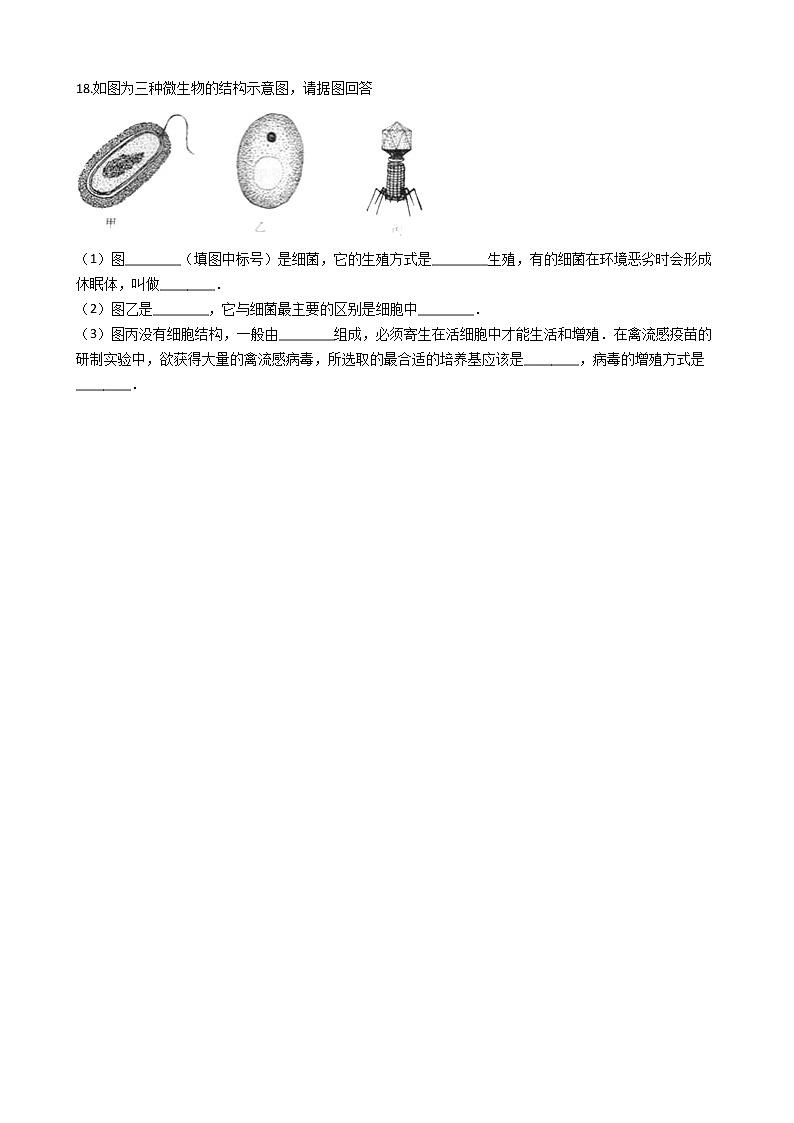 北师大版生物八年级上册5.18.1微在圈中的作用 同步测试与解析精品试题03