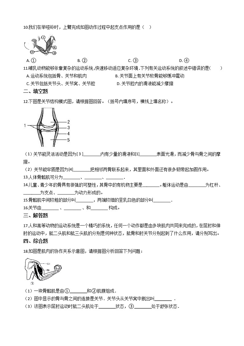 北師大版生物八年級上冊 5.15.2動物運動的形成 同步測試與解析精品試題第2頁