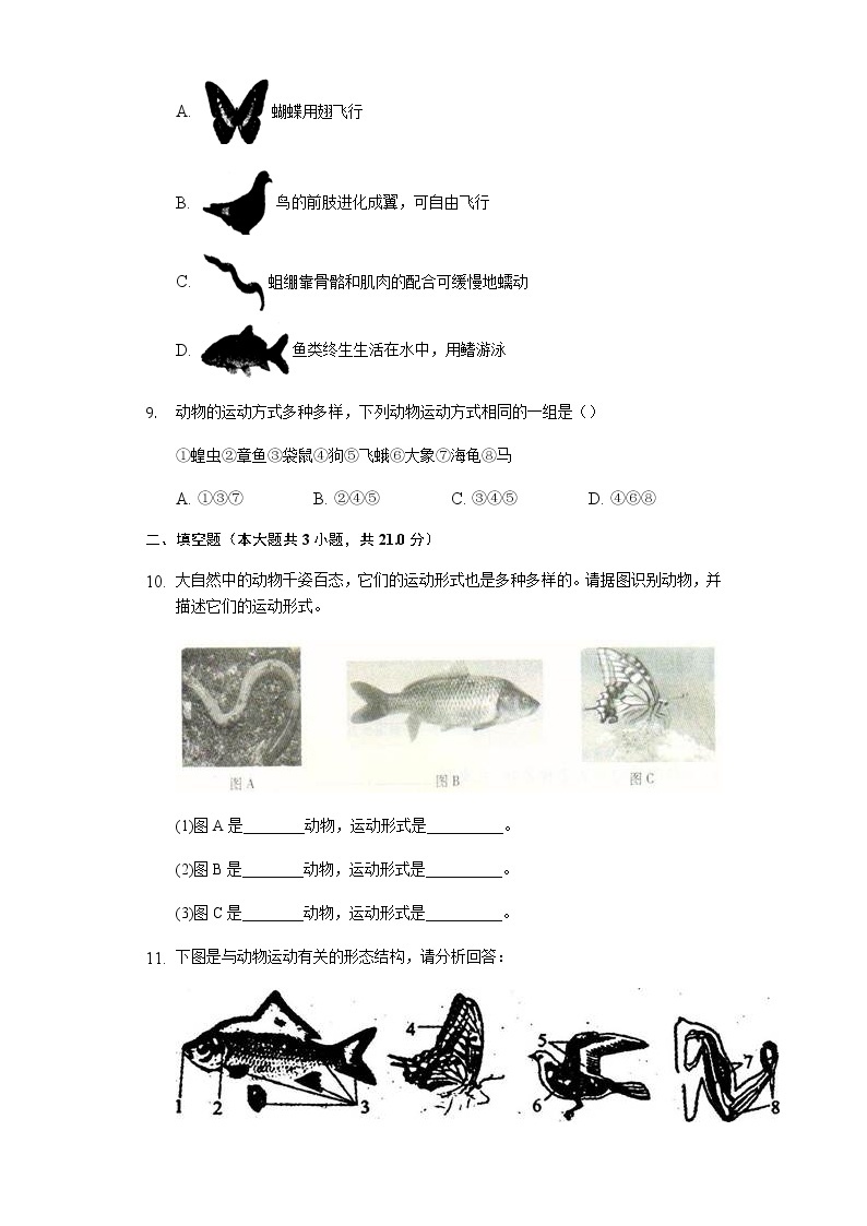 北师大版生物八年级上册5.15.1动物运动的方式 随堂练习（word版，含答案解析）精品试题02