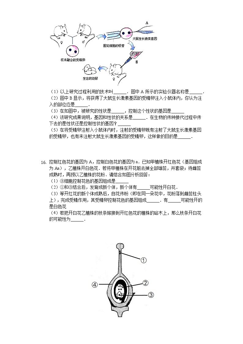 北师大版生物八年级上册6.20.2性状遗传的物质基础检测(含答案)精品试题02