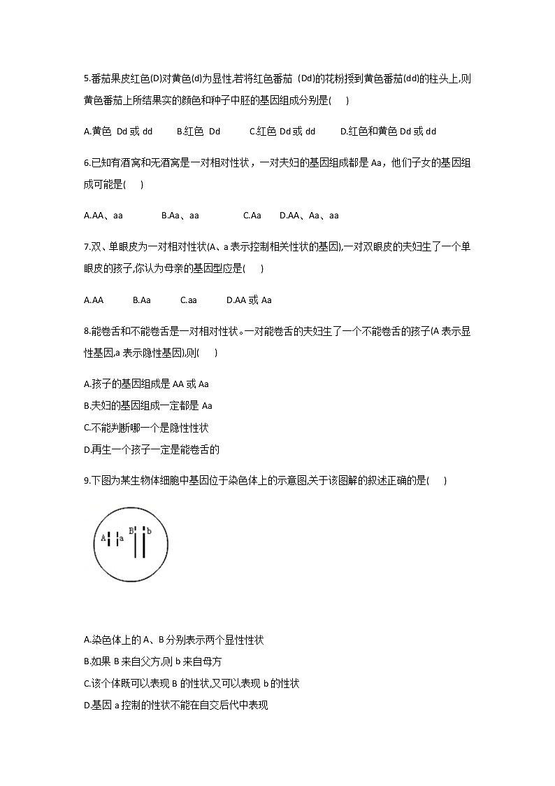北师大版生物八年级上册6.20.3性状遗传有一定的规律性精品试题02