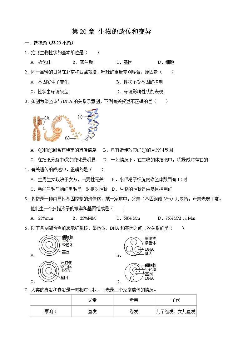 北师大版生物八年级上册中考总复习 第20章 的遗传和变异  测试题(含答案)精品试题第1页