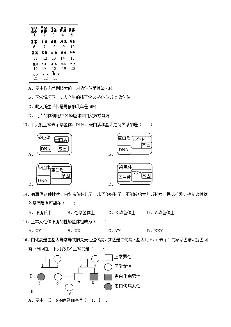 北师大版生物八年级上册中考总复习 第20章 的遗传和变异  测试题(含答案)精品试题第3页