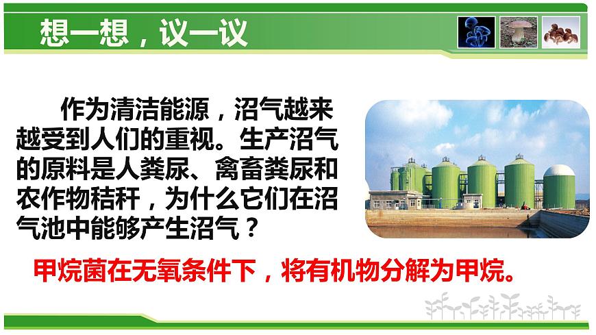 5.4.5 人類(lèi)對(duì)細(xì)菌和真菌的利用  人教版八年級(jí)上冊(cè)生物課件第2頁(yè)