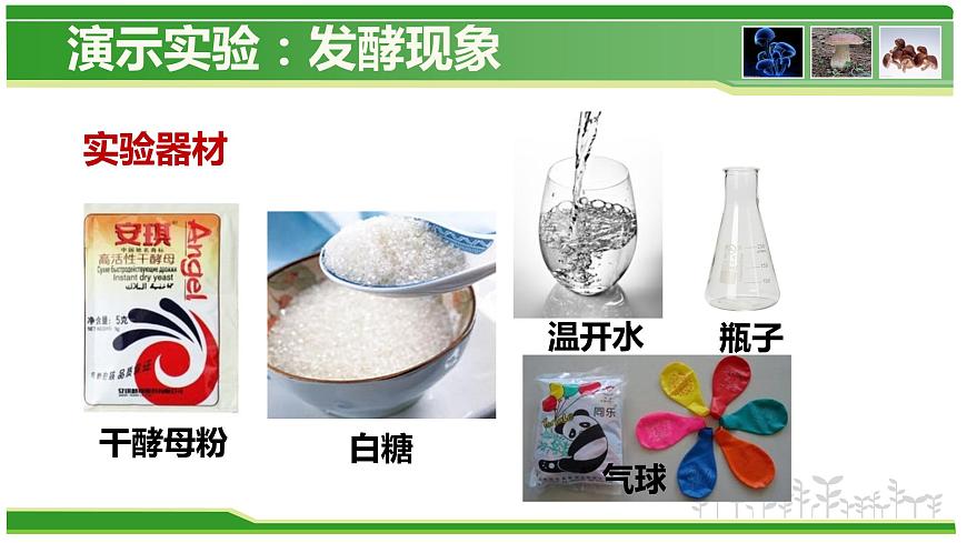 5.4.5 人類(lèi)對(duì)細(xì)菌和真菌的利用  人教版八年級(jí)上冊(cè)生物課件第3頁(yè)
