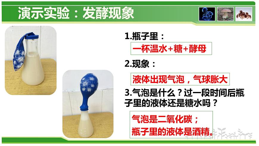 5.4.5 人類(lèi)對(duì)細(xì)菌和真菌的利用  人教版八年級(jí)上冊(cè)生物課件第4頁(yè)