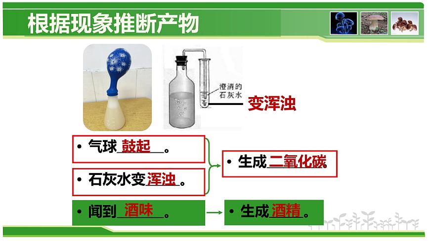 5.4.5 人類(lèi)對(duì)細(xì)菌和真菌的利用  人教版八年級(jí)上冊(cè)生物課件第5頁(yè)