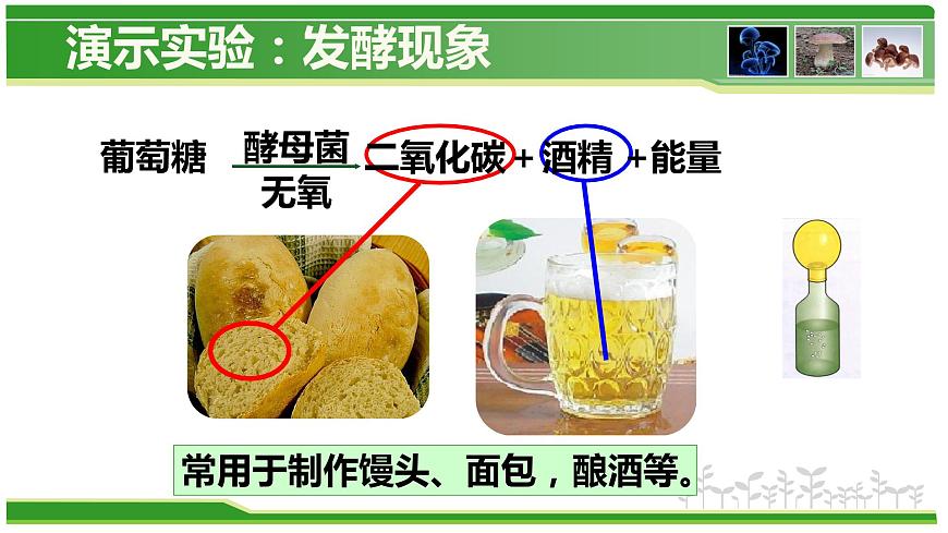 5.4.5 人類(lèi)對(duì)細(xì)菌和真菌的利用  人教版八年級(jí)上冊(cè)生物課件第6頁(yè)