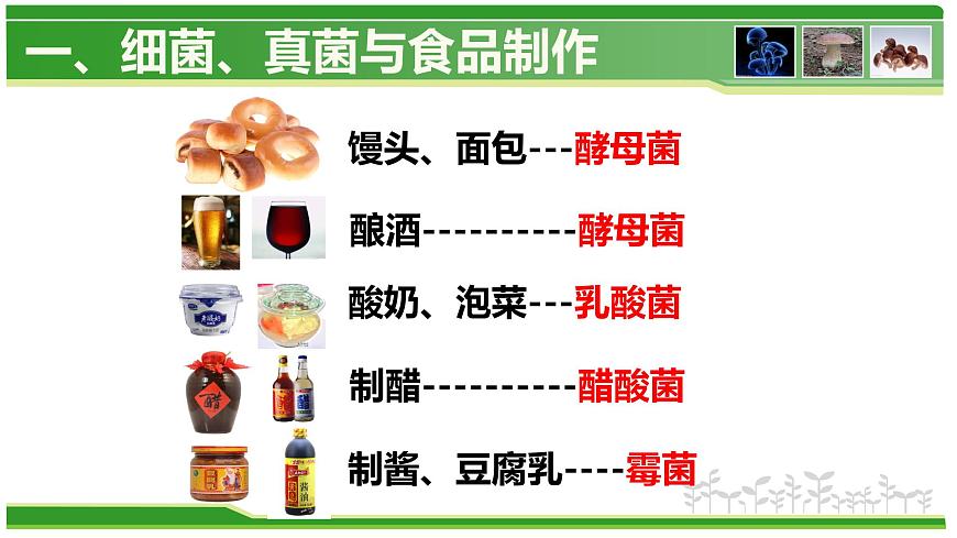5.4.5 人類(lèi)對(duì)細(xì)菌和真菌的利用  人教版八年級(jí)上冊(cè)生物課件第8頁(yè)