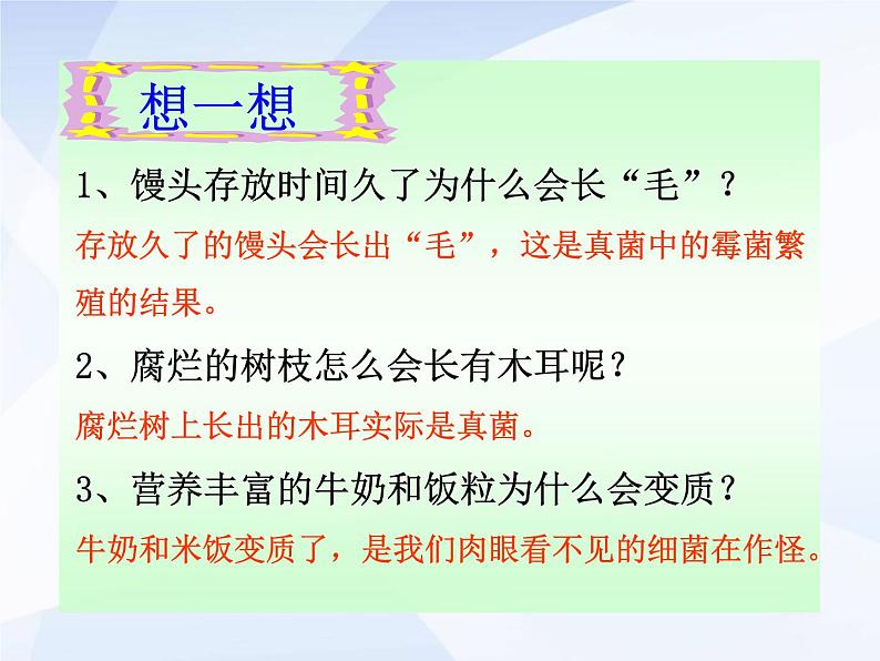 人教版生物八年级上册: 4.1细菌和真菌的分布 (共34张PPT)课件02