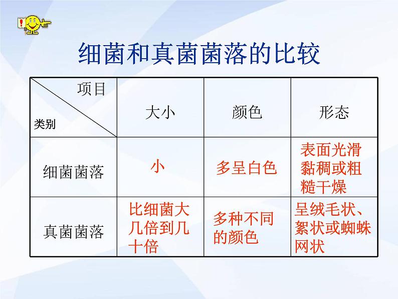 人教版生物八年级上册: 4.1细菌和真菌的分布 (共34张PPT)课件07