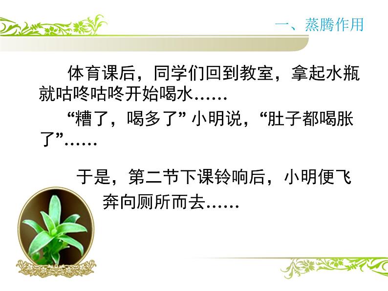 人教版生物七年级上册3.3绿色植物与生物圈的水循环 课件第2页