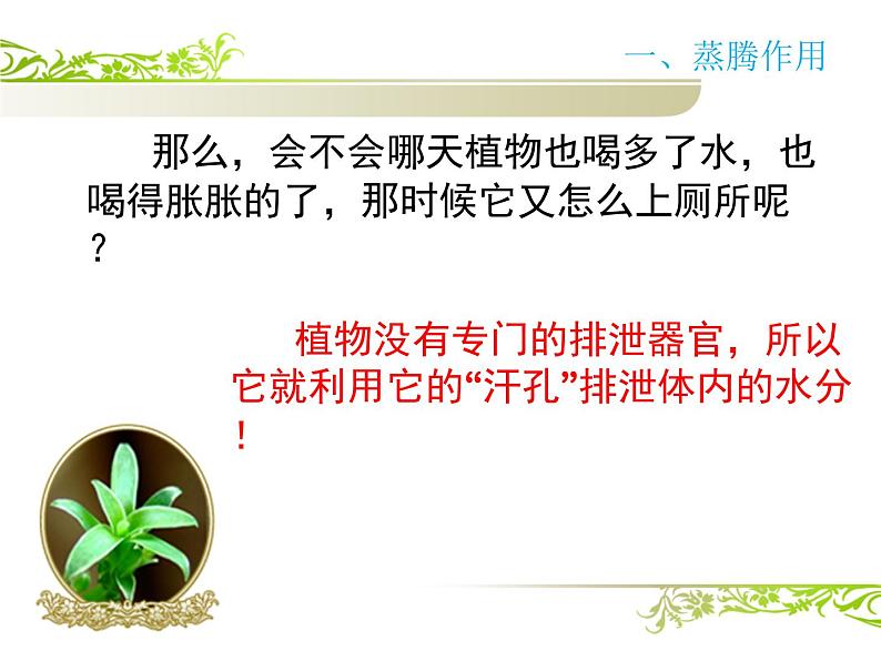 人教版生物七年级上册3.3绿色植物与生物圈的水循环 课件第3页