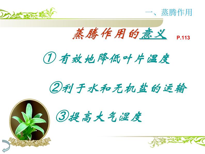人教版生物七年级上册3.3绿色植物与生物圈的水循环 课件第8页