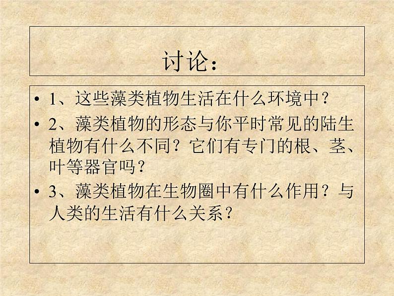 人教版七年级上册生物:3.1.1藻类、苔藓和蕨类植物课件07