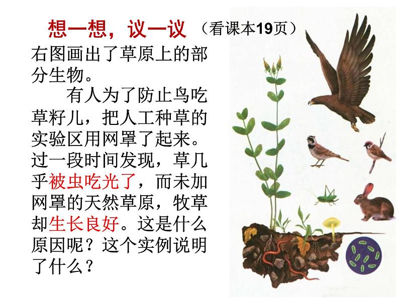 人教版生物七年级上册:1.2.2 生物与环境组成生态系统(共40张PPT)课件第4页