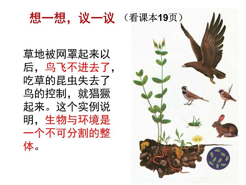 人教版生物七年级上册:1.2.2 生物与环境组成生态系统(共40张PPT)课件第5页