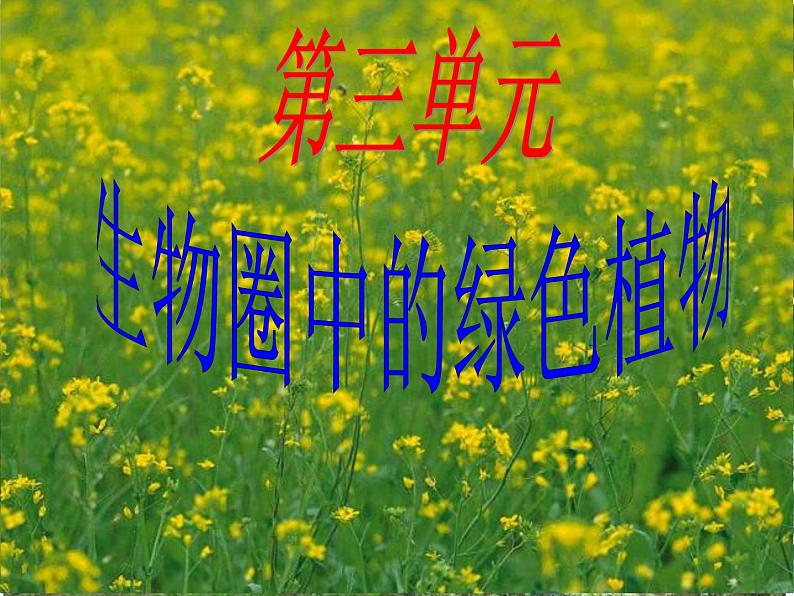 人教版七年级上册生物:3.1.1藻类、苔藓和蕨类植物课件 (2)01