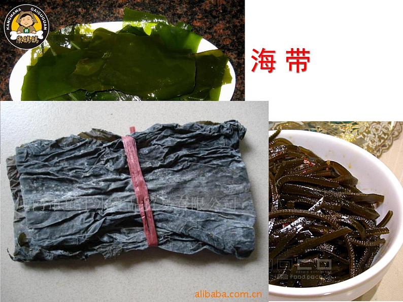 人教版七年级上册生物:3.1.1藻类、苔藓和蕨类植物课件 (2)08