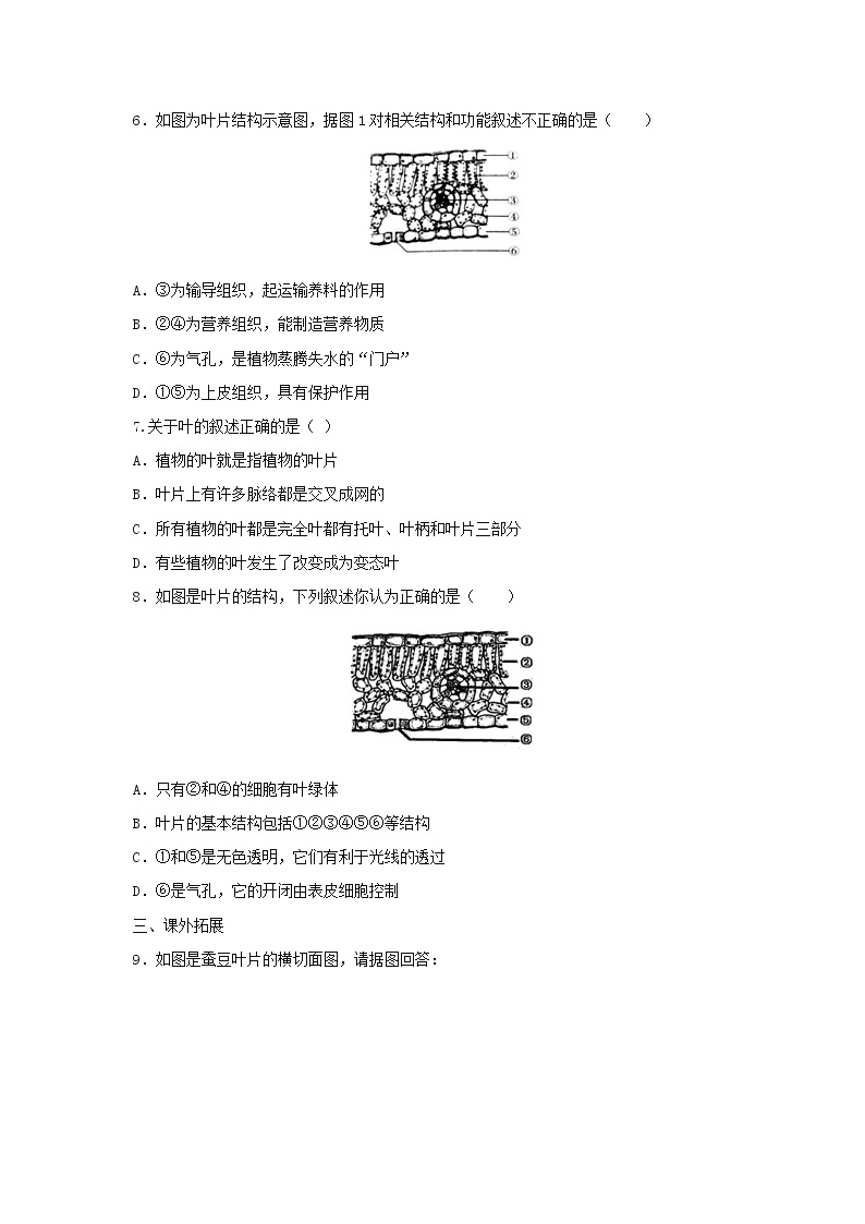 北京课改版七年级生物上册4.2绿色植物的光合作用练习（2份打包，含答案）02