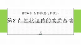 初中生物北师大版八年級上冊20.2 性状遗传的物质基础 課件